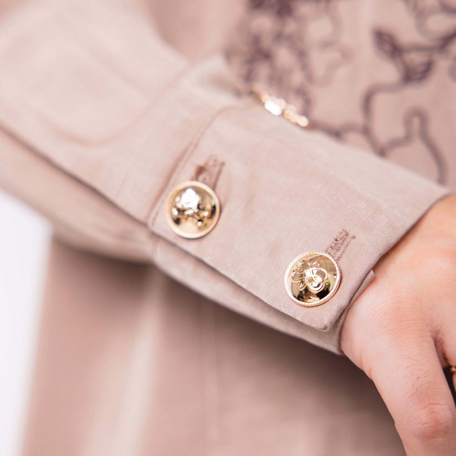 Iselyn Blouse